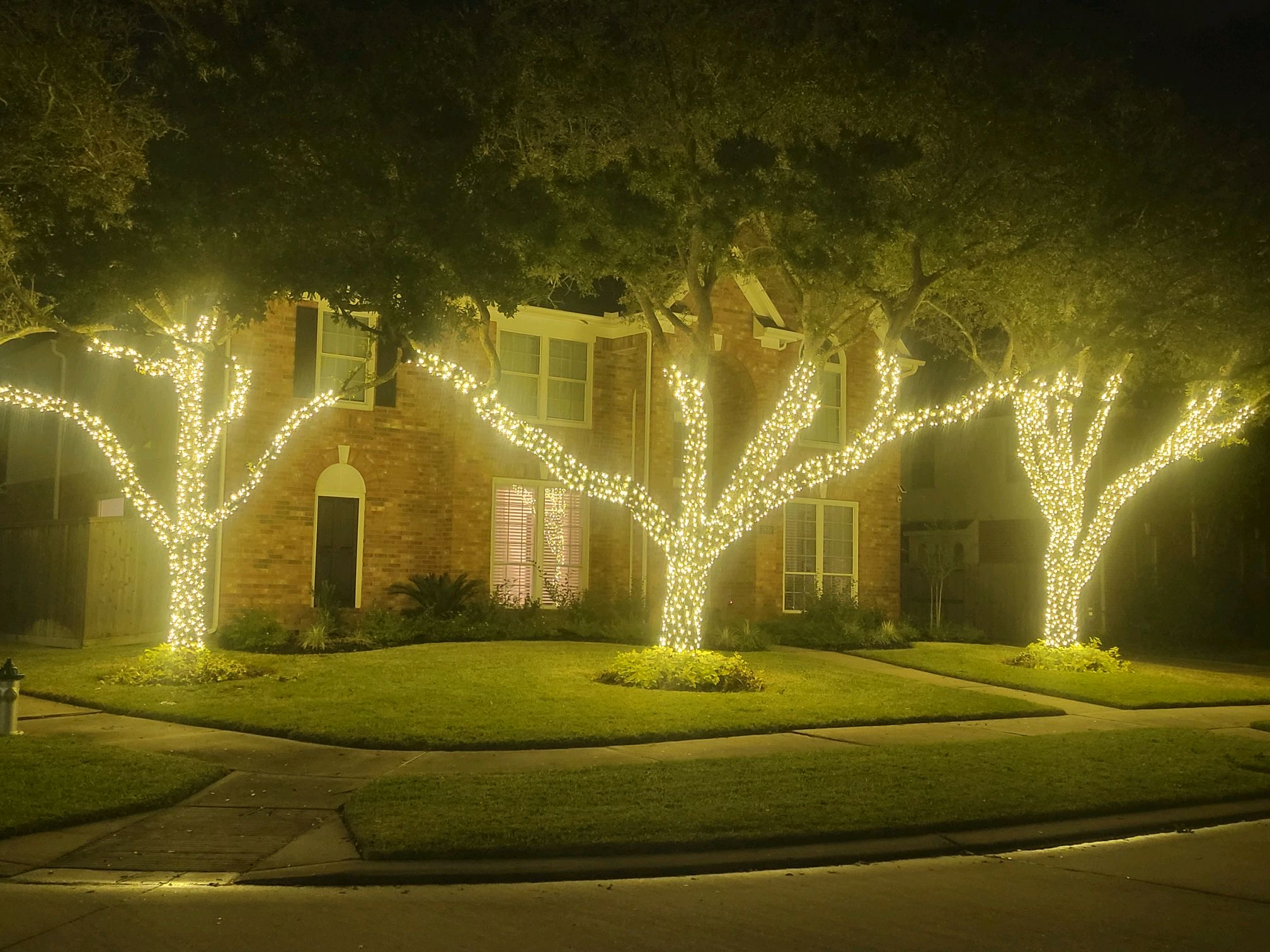 Warm white farmhouse permanent Christmas lights