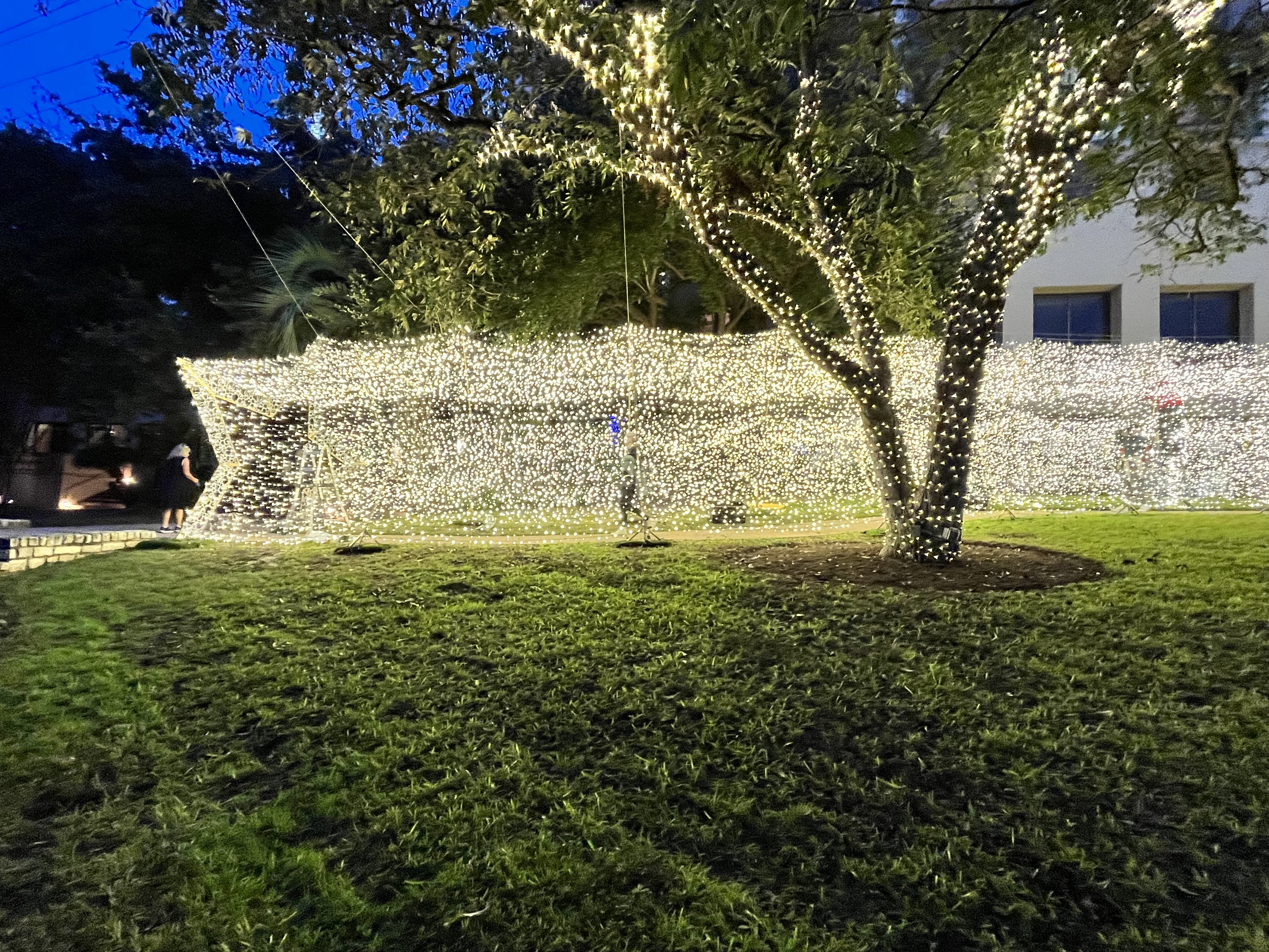 Warriors for Light landscape lighting installation 6